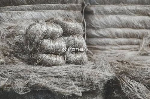 棉纱与纺织品，纺织业的深度探索