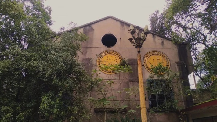 The Splendor of the重庆纺织厂的花