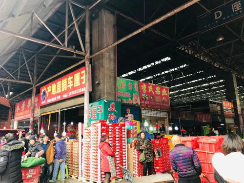 白俄罗斯纺织品批发市场探访记