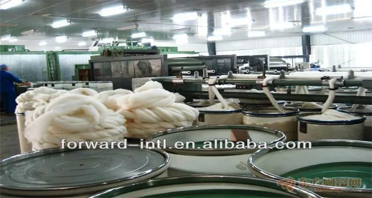 High-Tech Textile Manufacturing in Gongmi Spray Factory