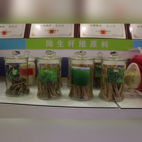 纺织品牌百科知识总结报告