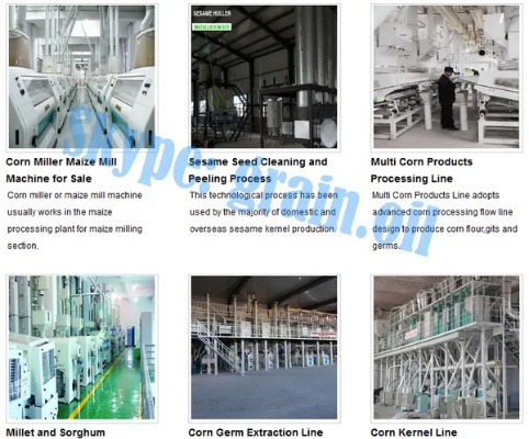 The Story of the Four Factory Textile Mill