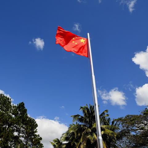 纺织品进口所需文件与步骤指南