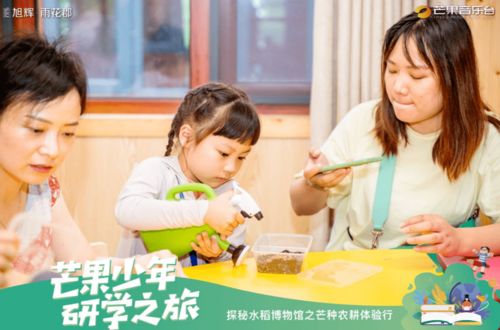 维迪娜纺织品，探索与体验