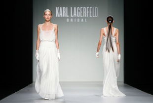 Fashion Brands Clothing Collection:A Visual Guide