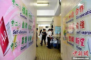 二手针纺织品批发市场探访记，福建的魅力与商机