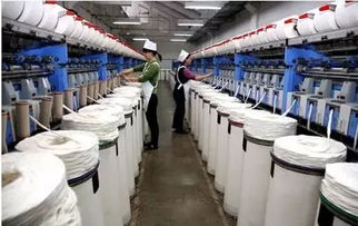 新生纺织厂厂标设计