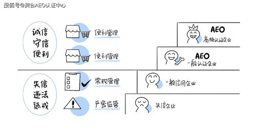 纺织品商检报告，确保出口贸易合规的关键
