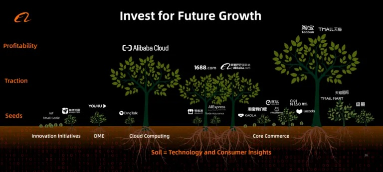 A Tale of Growth,Innovation,and Global Expansion