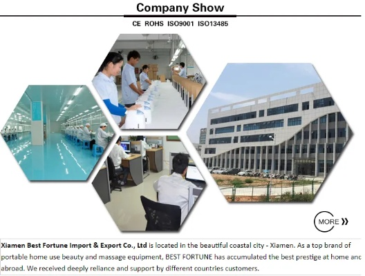 The Dynamics of the Sharsha Textile Factory