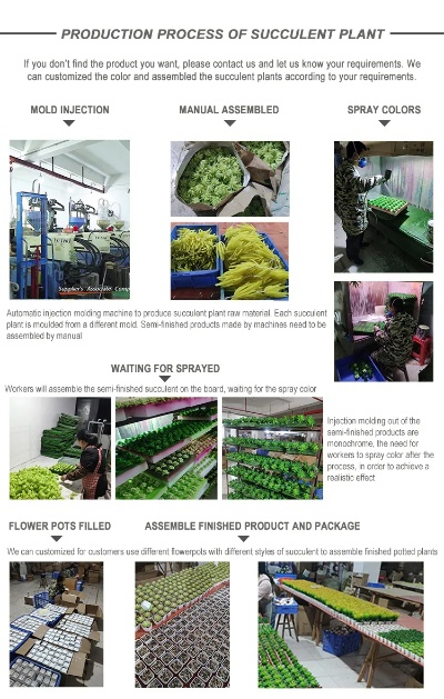 The Status of Textile Processing Plant Wholesale Market