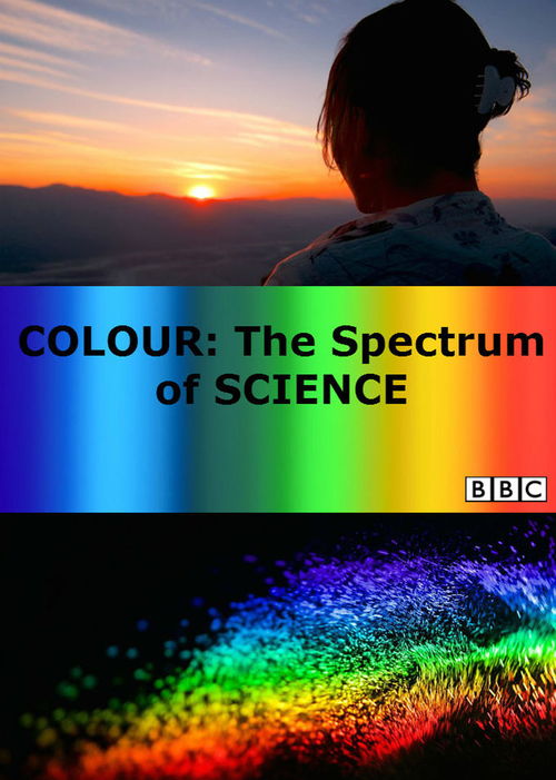 The Spectrum of Textiles in the大楼楼层织就的辉煌篇章