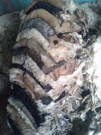 The Best Sheep Wool Textiles Factory,Home Textile Expert in China
