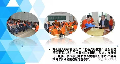 美国纺织品印染行业的现状与挑战—以美国纺织品印染协会为例