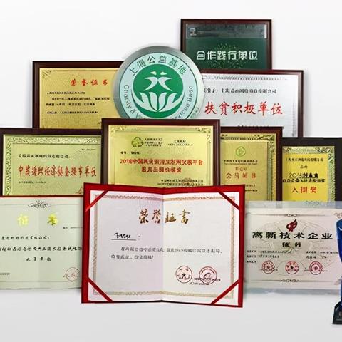 废旧纺织品市场，探索再生之美