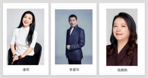 宁达纺织品，引领时尚与创新的纺织先锋