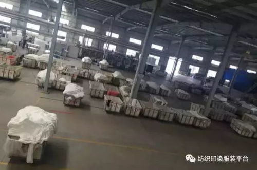 染厂纺织厂招聘盛会，寻找明日之星