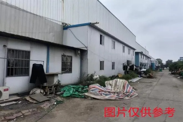株洲纺织厂厂拍卖案例分析