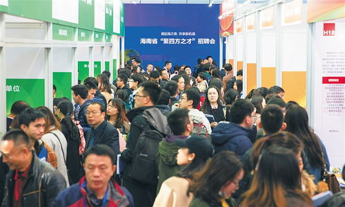 南华厂纺织厂招聘盛会，岗位与人才共舞