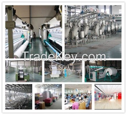 The Evolution of Henan Puyang Textile Factory