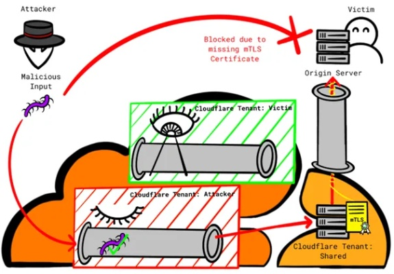 A Comprehensive Look at the Role and Influence of Textiles in Adventure Gear