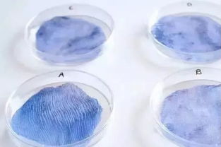 生物智能纺织品，未来触手可及的科技面料