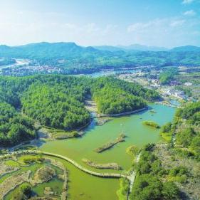 福建绿色针纺织品批发价格分析