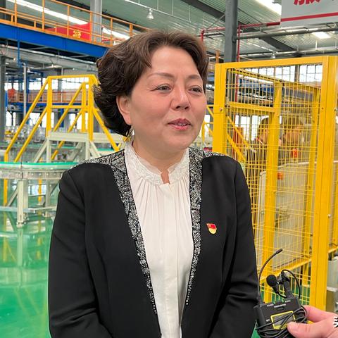纺织厂整厂出售，市场机遇与未来展望