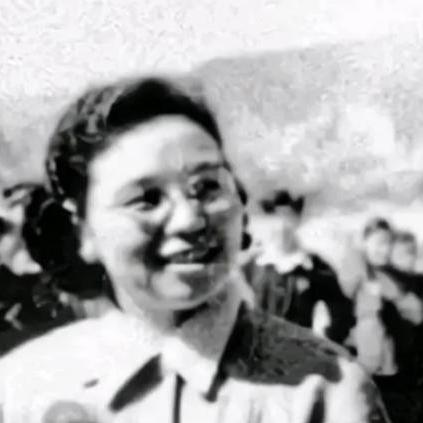 纺织厂整厂出售，市场机遇与未来展望
