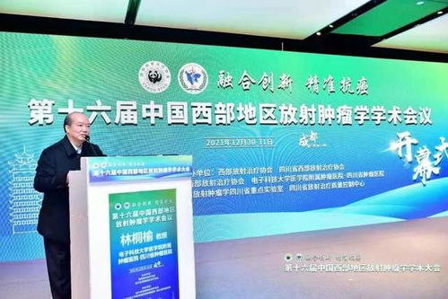 建辉针纺织品，品质与创新的融合