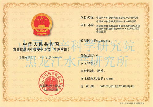 纺织品安全证书，确保纺织品质量与安全性的重要证明