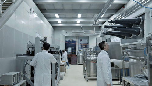 沈阳凡星纺织品公司，优质生活的选择