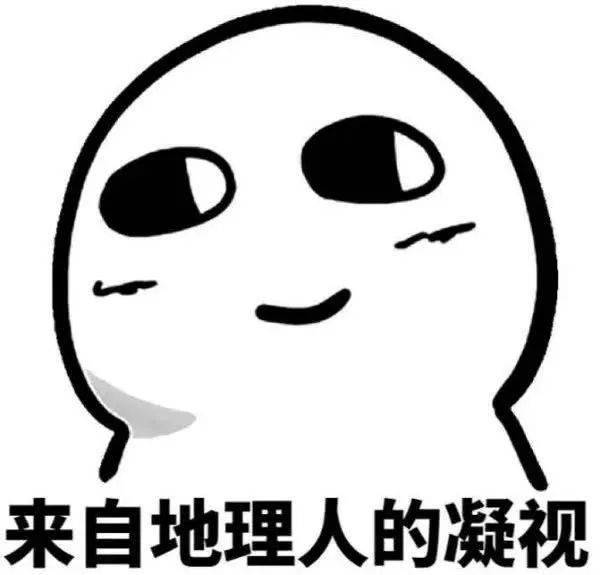 永嘉市场纺织品专业服务的深度体验