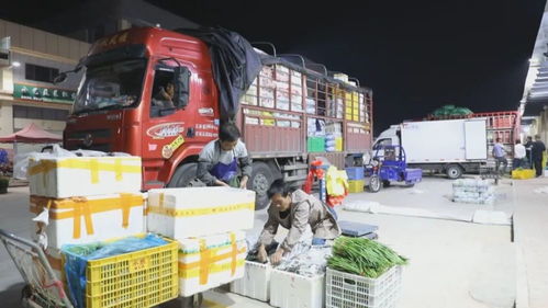 The Story of the普陀区纺织品批发市场地址