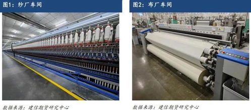 山东棉纺织品牌介绍