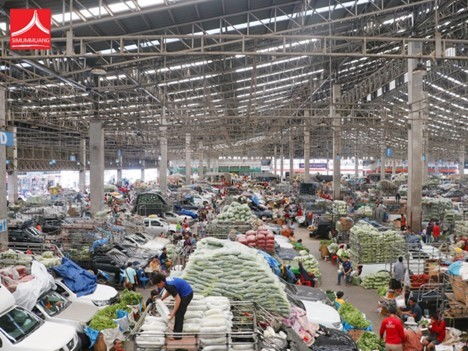 辽宁福利纺织品批发市场概览