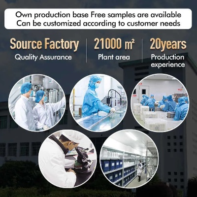 The Story of Textile Manufacturing in a Chemical Plant