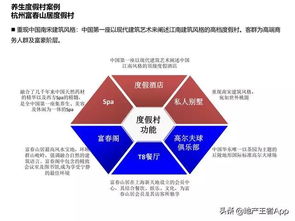 国内纺织品公司案例分析