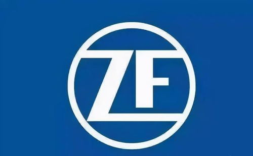 Expanding Horizons:A Look at Yancheng Textile Factorys Talent Seeker Program