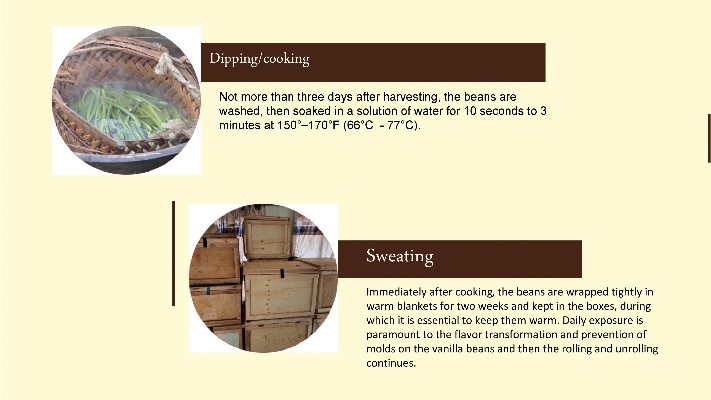 The Ultimate Guide to Selecting the Perfect Home Textile Beanie for Your Family