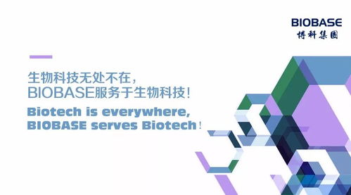 倍萱纺织品，品质与创新的融合之路