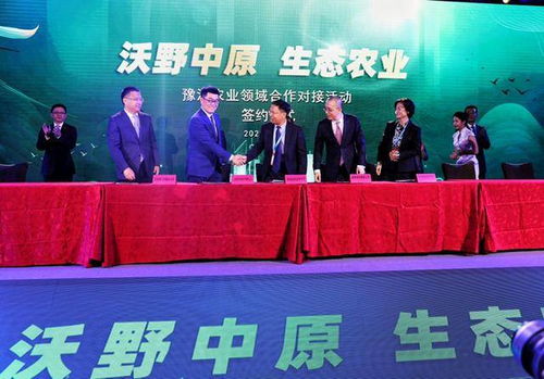 永发纺织品进出口，全球贸易新篇章