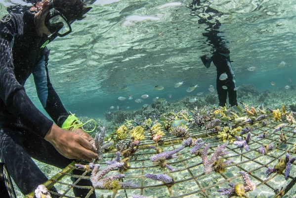 Navigating the World of Textiles:A Guide to the Nantong Helpers in Textiles