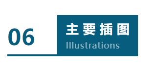蚌埠纺织厂厂徽设计英文口语化内容