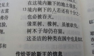 第二行