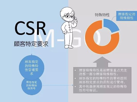 纺织品CSR认证，全面解析与案例分析