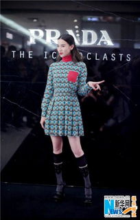 Prada:The Evolutionary Story of a Luxury Brand