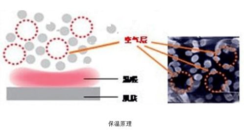 美国纺织品行业网站，引领潮流，展示行业新动态