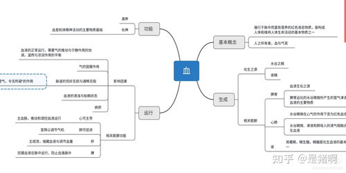 纺织品品牌营销战略规划思维导图