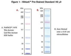 Tmall Textile Labeling Standards:A Guide For Consumers and Manufacturers